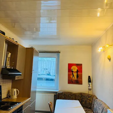 Apartment Grosszuegige Mit Grossem Wohnzimmer Im Zentrum Von